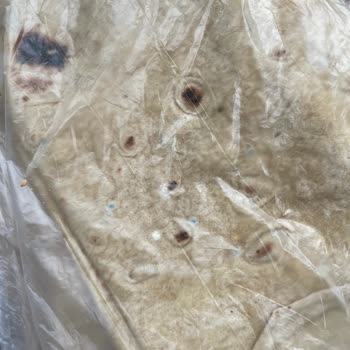 Kargo Gecikmesi Yüzünden Küflenen Ürünler