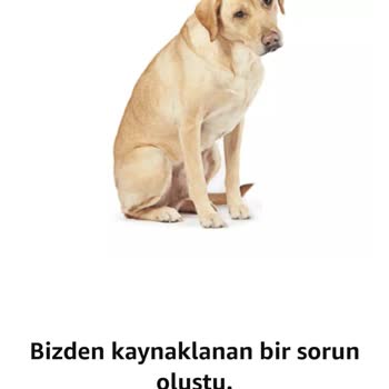 Prime Üyeliği: Teslimat Hayal Kırıklığı