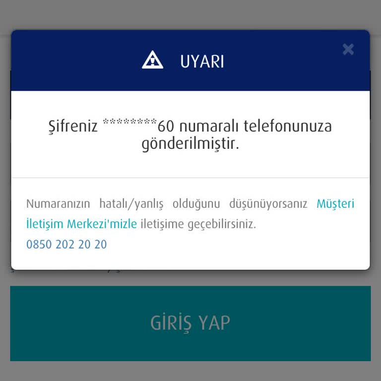Giriş Yapamama Sorunu: Yanlış Numara Ve E-Posta
