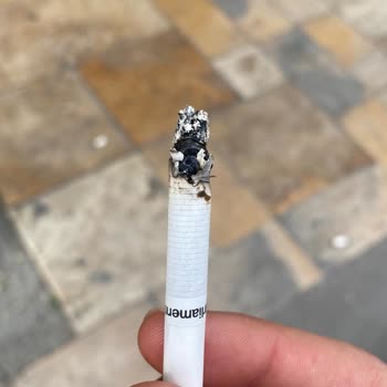 Sigara Tadındaki Değişim Ve Kalite Sorunları