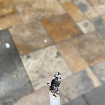 Sigara Tadındaki Değişim Ve Kalite Sorunları