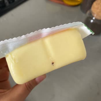 Peynirin İçinden Çıkan Şok Edici Sürpriz