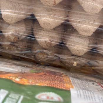 Kırık Yumurtalar Ve İletişim Sorunu