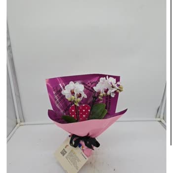 Yanlış Çiçek Gönderimi Ve Müşteri Hizmetleri Hayal Kırıklığı