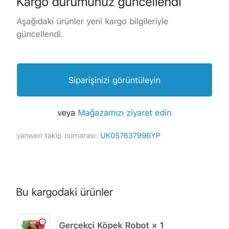 Robot Köpek Hakkında Hayal Kırıklığı