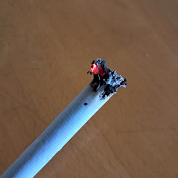 Marlboro Sigaralarında Kalite Düşüşü Ve Kimyasal Endişesi