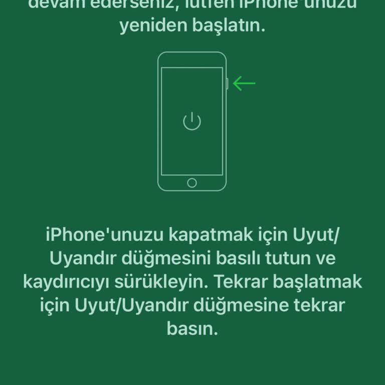 My iPhone 16 Camera Freezes and Shows Green Screen in WhatsApp After 2 Months