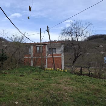Tehlike Saçan Elektrik Direği Ve Çözülmeyen Voltaj Sorunu