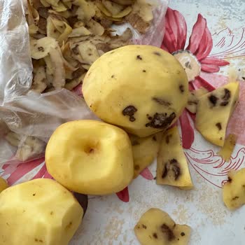 Migros'tan Gelen Çürük Patatesler Ve Müşteri Hizmetleri Sorunu