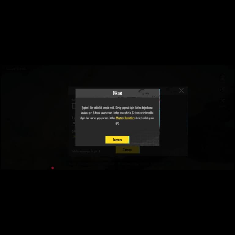 Hesap Sorunu İçin Acil Yardım Bekliyorum