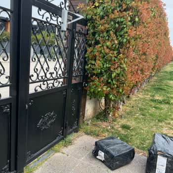 Sürat Kargo Adalet Şube: Müşteri İlişkilerinde Sınır Tanımayan Deneyim