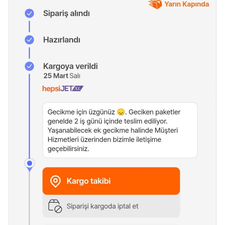 Kargo Krizi: Hediye Beklerken Hayal Kırıklığı