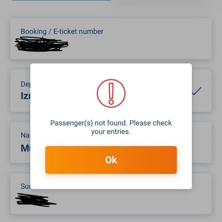 Online Check-in Sorunu: Ucuzabilet Ve Sunexpress Mağduriyeti