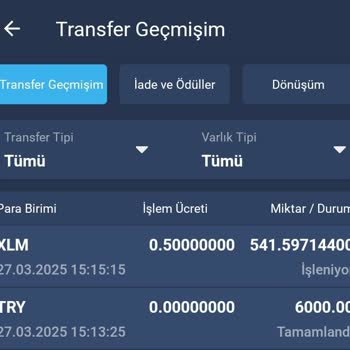 Bitexen'de Kripto Transferi Kabusu