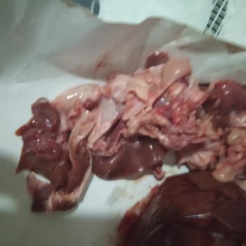 Etçiler İzmir'de Yaşanan Mağduriyet