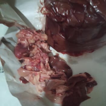 Etçiler İzmir'de Yaşanan Mağduriyet