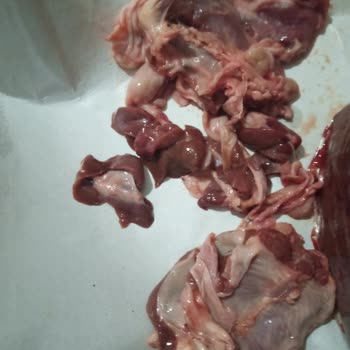 Etçiler İzmir'de Yaşanan Mağduriyet