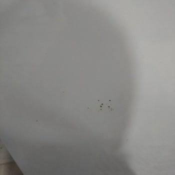Paslanan Kapı Ve Yetersiz Müşteri Hizmeti
