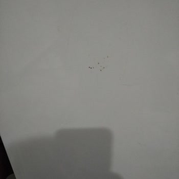 Paslanan Kapı Ve Yetersiz Müşteri Hizmeti