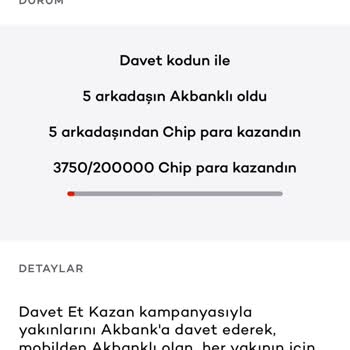 Chip Para Aktarım Sorunu Ve Müşteri Temsilcisi Hatası