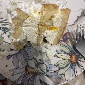 Bozuk Pasta Ve Yanıltıcı Bilgi Deneyimi