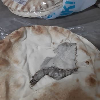 Marketten Alınan Ekmekte Beklenmedik Durum