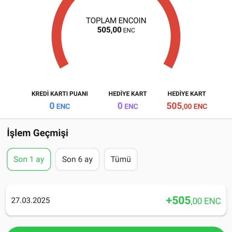 En Cüzdan'daki Parayı Hesaba Aktaramama Sorunu