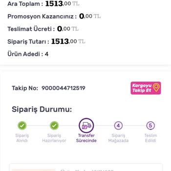 Acil Teslimat Sorunu: Yurt Dışı Seyahati Tehlikede