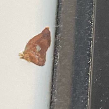 Yeni Araçta Boya Problemi Ve Servis İlgisizliği