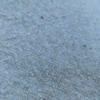 Kusurlu Halı Ve İlgisiz Mağaza