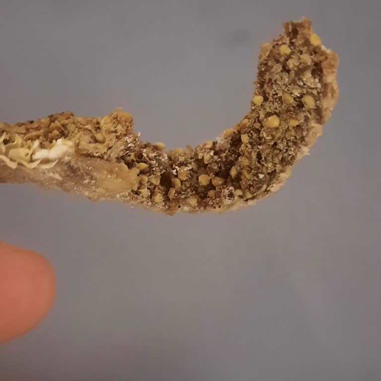 Küflü Kuruyemişler Sağlığımızı Tehdit Ediyor!