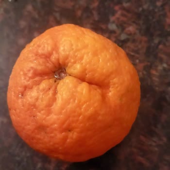 Migros Sanal Market'ten Aldığım Portakallar Hayal Kırıklığı Yarattı