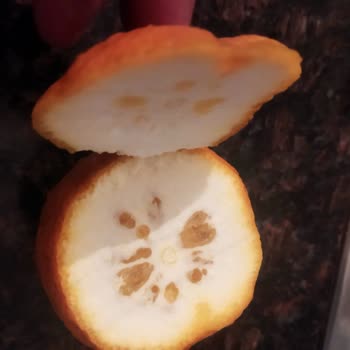 Migros Sanal Market'ten Aldığım Portakallar Hayal Kırıklığı Yarattı