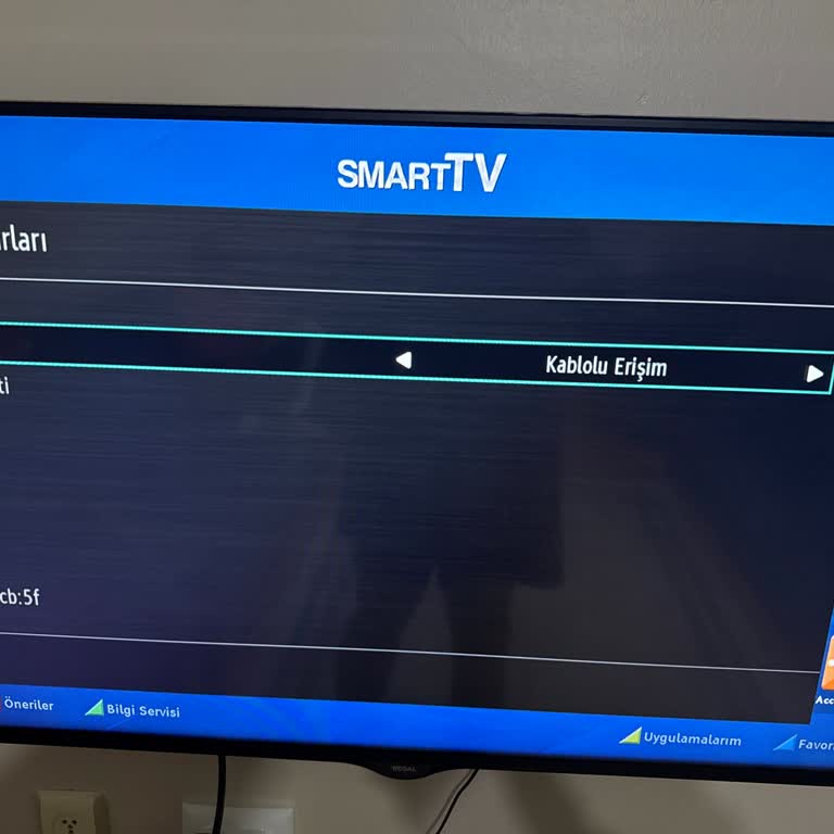 Regal Smart TV'nin Kablosuz Bağlantı Sorunu