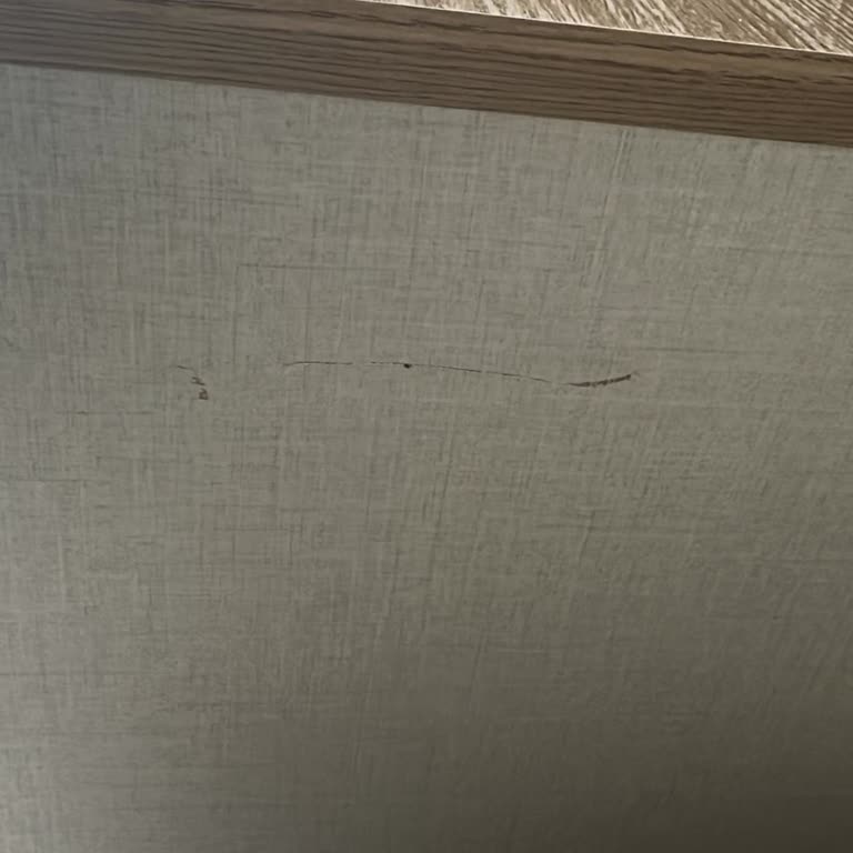 Eksik Ve Hasarlı Teslimat: Bellona Müşteri Hizmetleri Sorunu