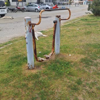 Paslı Spor Aletleri Kullanılamaz Durumda