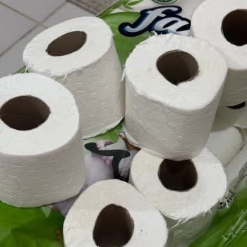 Kalitesiz Tuvalet Kağıdı Deneyimi