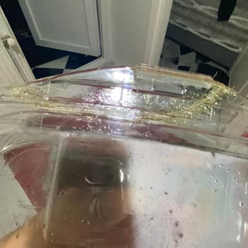 Hoover Kurutma Makinesi Su Haznesi Kırıldı: Ücretsiz Yenisi Talep Ediyorum