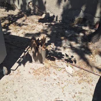 Aylarca Süren İnternet Kesintisi