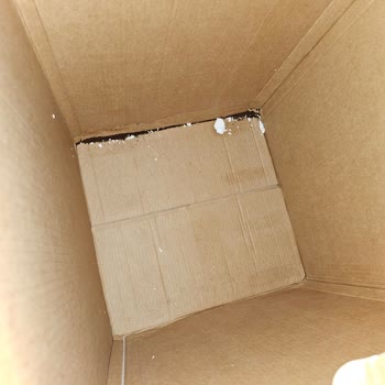 Kahve Makinesi Servis Deneyimi Hayal Kırıklığı