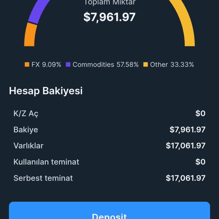 Alliance Trader Online'da Para Çekim Sorunu
