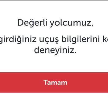 THY Uçuş Milleri Sorunu: Eksik Mil İşlemi Ve Müşteri Hizmetleri Deneyimi