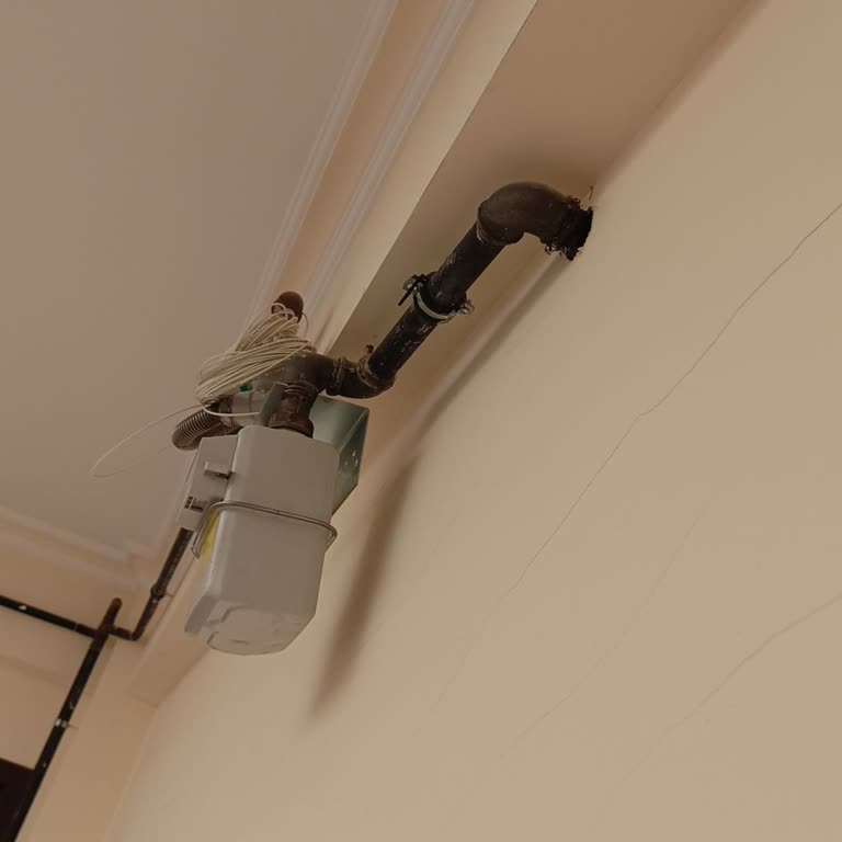 D-Smart Net Fiber Bağlantı Çilesi: İnternet Kesintisi Ve Beklenen Hizmet