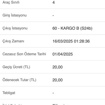 Yanlış Geçiş İhlali Cezalarıyla Karşı Karşıya