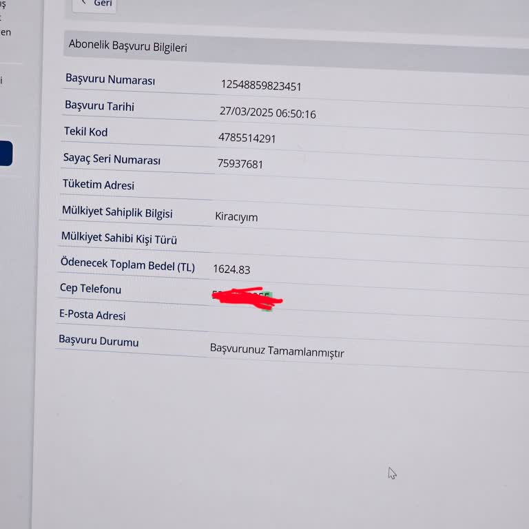 Elektrik Bağlantısında Yaşanan Gecikme Ve İletişim Sorunları