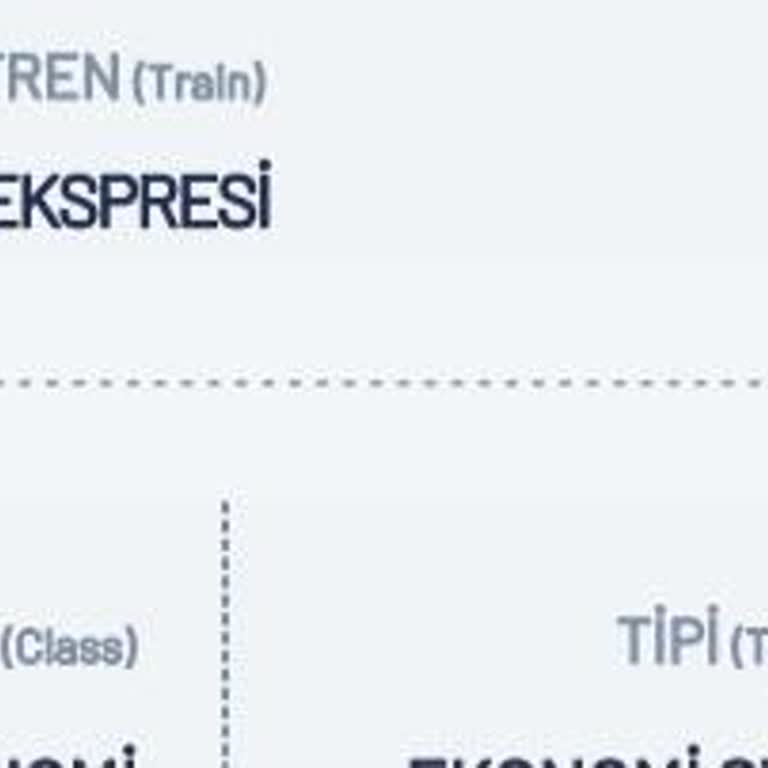 TCDD Çalışanlarının Saygısız Davranışları