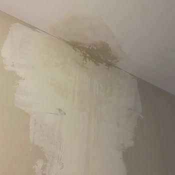 Sur Yapı Antalya'da İhmal Edilen Sorunlar Ve İlgisiz Yönetim