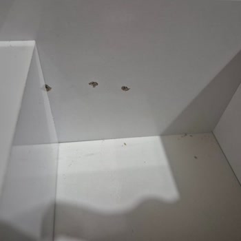 Yanlış Vidalar Ve Yetersiz Kılavuz: Ürün Kurulumu Kabus!