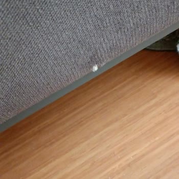 Trendyol'dan Alınan Koltukta Hayal Kırıklığı