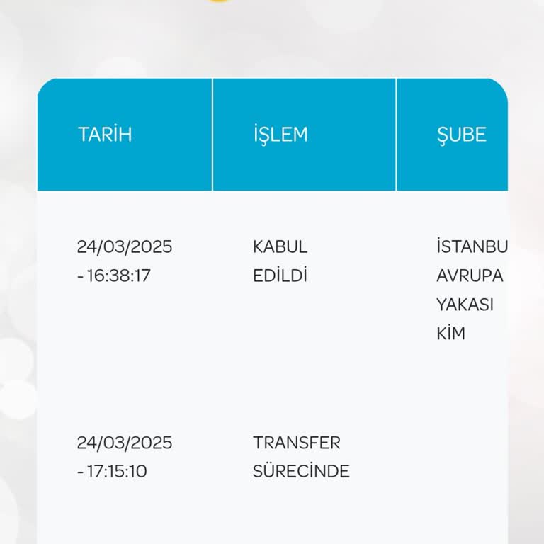 PTT Kargo Van Şubesinde Geciken Kargo Teslimatı